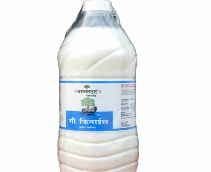 Vagbhatt Gau Phenyl 1 Liter