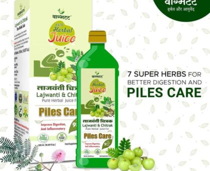 Vagbhatt Pilo Heal Herbal Juice 500 ml