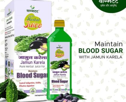 Vagbhatt Karela Jamun Juice 500 ml