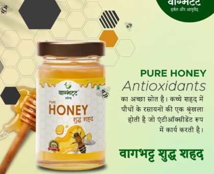 Vagbhatt Pure Honey (हर बूंद में सेहत का खज़ाना) 700 gram