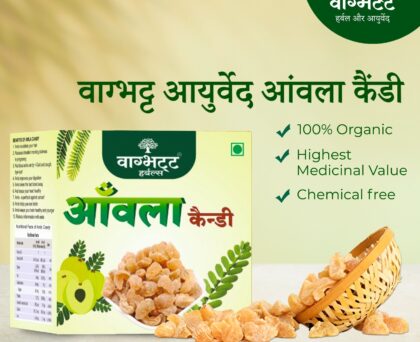 Vagbhatt Amla Candy 500 gram