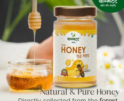 Vagbhatt Pure Honey (हर बूंद में सेहत का खज़ाना) 250 gram
