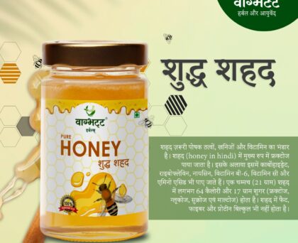 Vagbhatt Pure Honey (हर बूंद में सेहत का खज़ाना) 500 gram