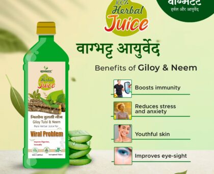 Vagbhatt Giloy Tulsi Juice 500ml