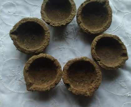Hand Made Desi Cow Dung Panchagavya Gobar Diye for Diwali and Puja Set of 12