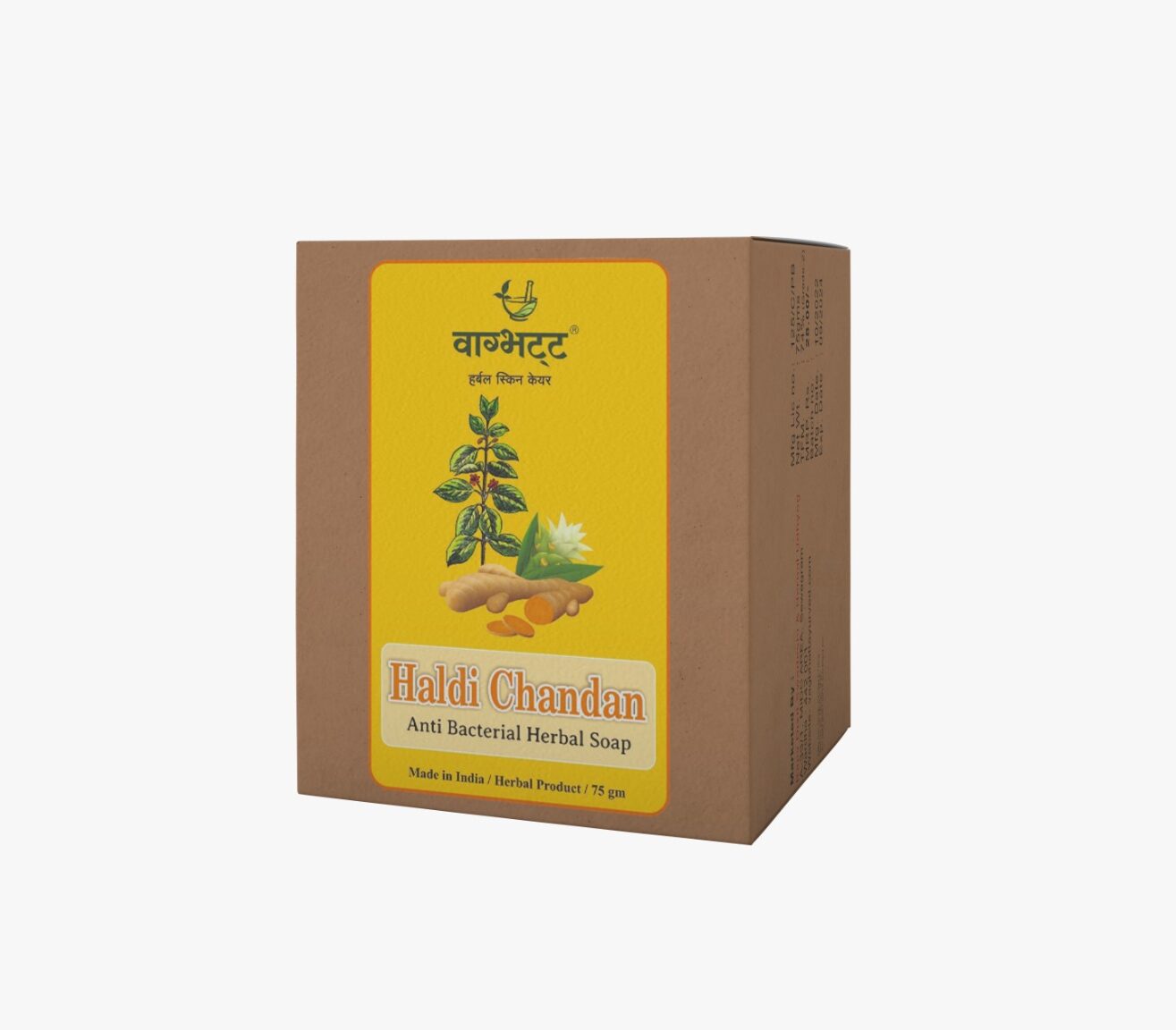 Vagbbatt Haldi Chandan soap